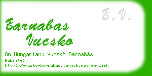 barnabas vucsko business card