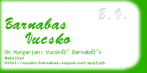 barnabas vucsko business card